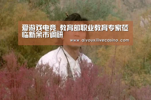 爱游戏电竞_教育部职业教育专家莅临新余市调研(图4) 爱游戏电竞