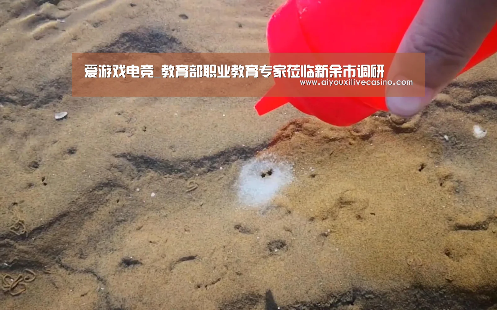 爱游戏电竞_教育部职业教育专家莅临新余市调研(图3) 爱游戏登录