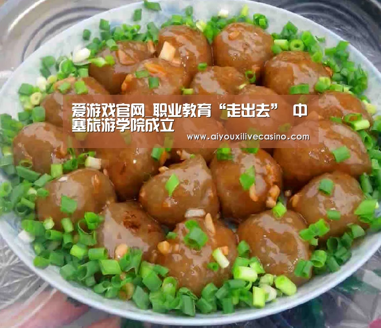 爱游戏官网_职业教育“走出去” 中塞旅游学院成立(图2) 爱游戏电竞
