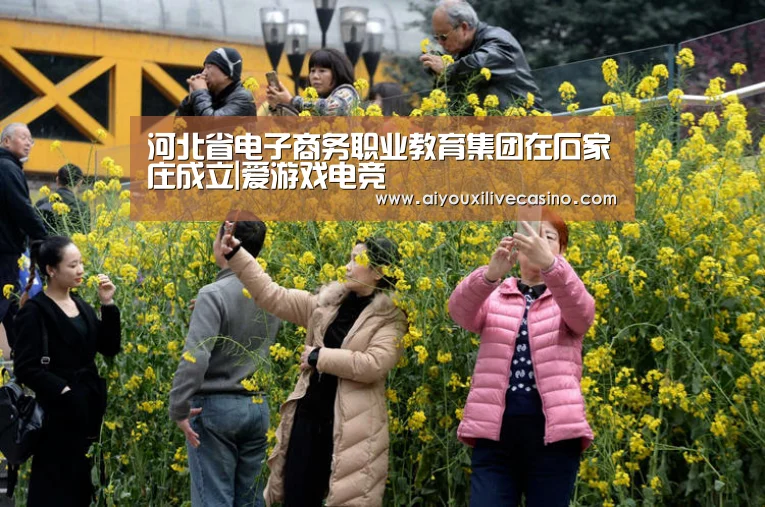 河北省电子商务职业教育集团在石家庄成立|爱游戏电竞(图2) 爱游戏竞猜