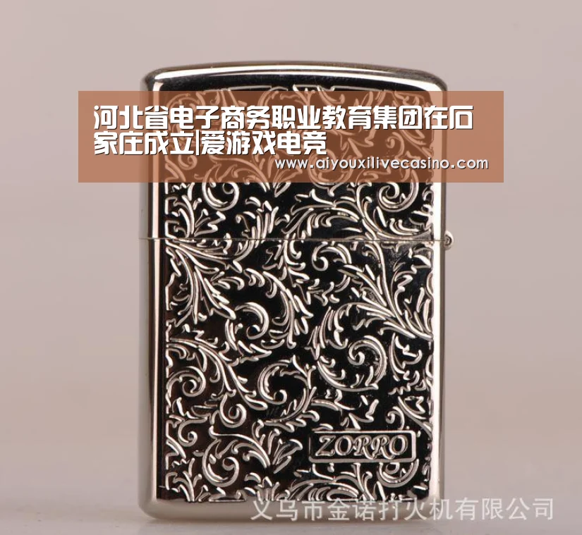 河北省电子商务职业教育集团在石家庄成立|爱游戏电竞(图4) 爱游戏电竞