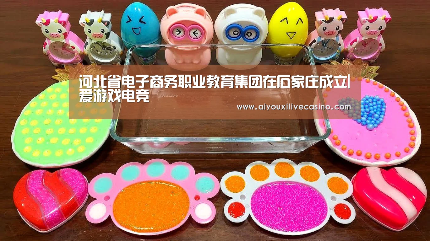 河北省电子商务职业教育集团在石家庄成立|爱游戏电竞(图3) 爱游戏登录
