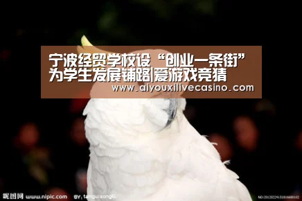 宁波经贸学校设“创业一条街”为学生发展铺路|爱游戏竞猜(图1) 爱游戏竞猜