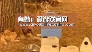 爱游戏电竞