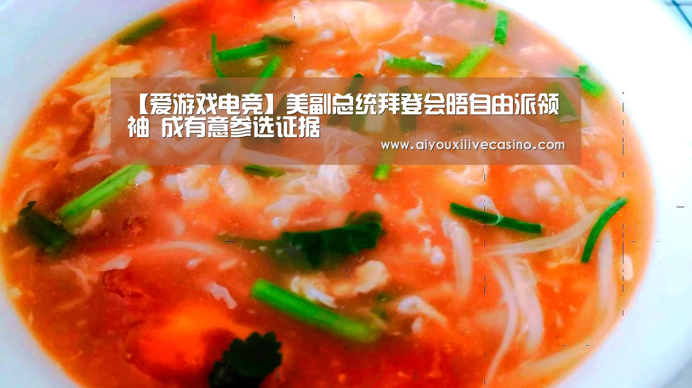 【爱游戏电竞】美副总统拜登会晤自由派领袖 成有意参选证据(图1) 爱游戏电竞