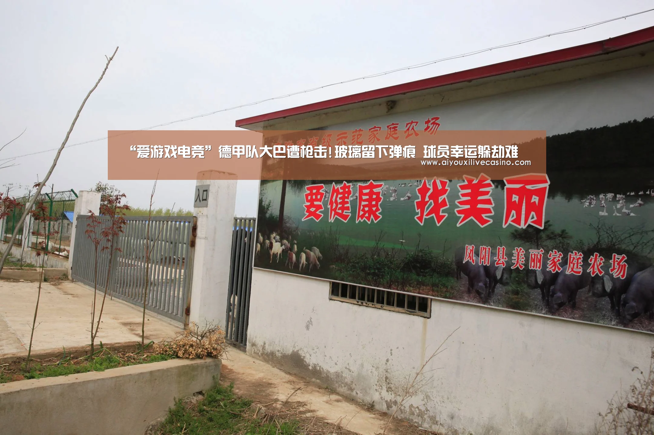 爱游戏官网
