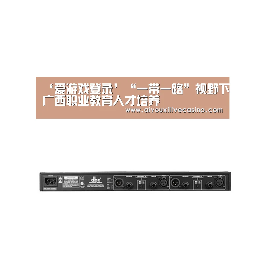 ‘爱游戏登录’“一带一路”视野下广西职业教育人才培养(图3) 爱游戏电竞
