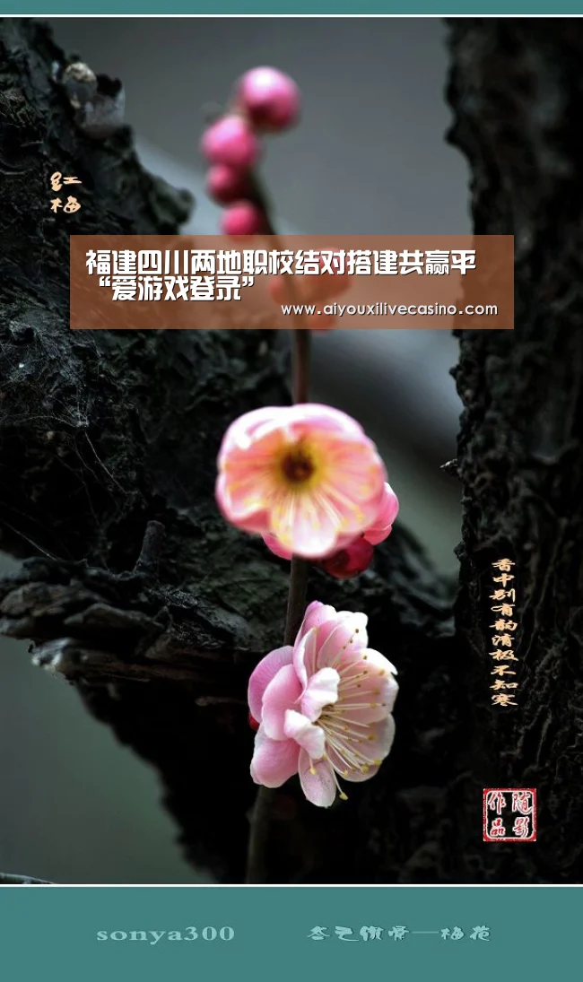 福建四川两地职校结对搭建共赢平“爱游戏登录”(图2) 爱游戏官网