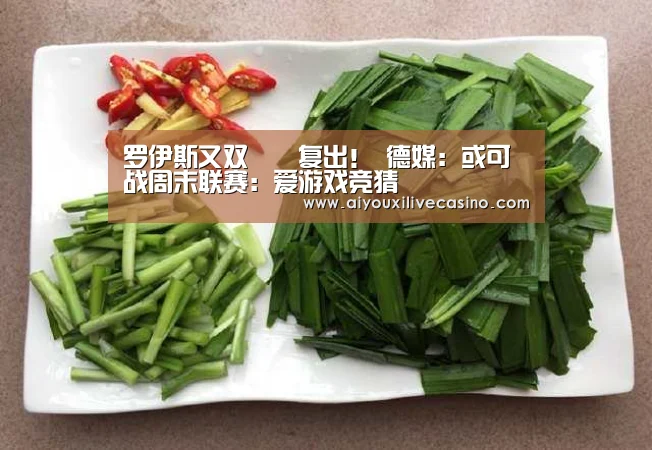 爱游戏官网