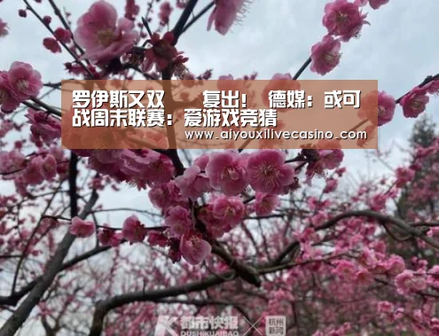 爱游戏官网